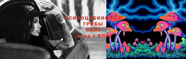 ГАЛЛЮЦИНОГЕННЫЕ ГРИБЫ Верея