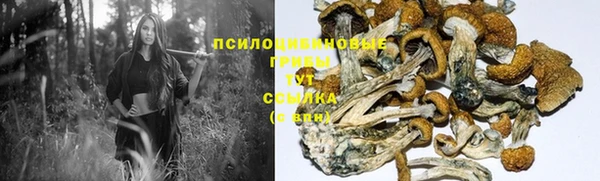 гидра Верхнеуральск