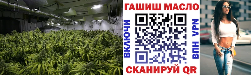 MEGA вход  Вытегра  ТГК гашишное масло  купить наркоту 