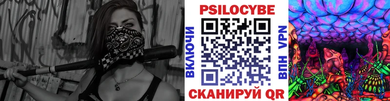 дарнет шоп  кракен tor  Псилоцибиновые грибы ЛСД  Вытегра 