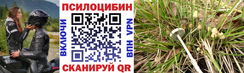 Галлюциногенные грибы Cubensis Вытегра
